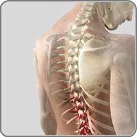 stretch.jpg stretch.jpg